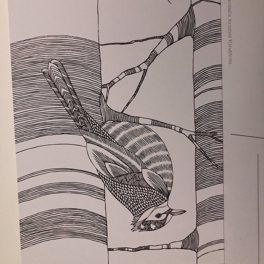 Postcard Colouring Book - Picture 5 of 7